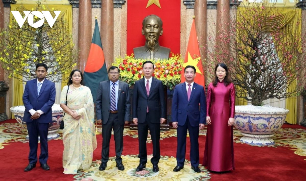 Vietnamese State leader receives ambassadors