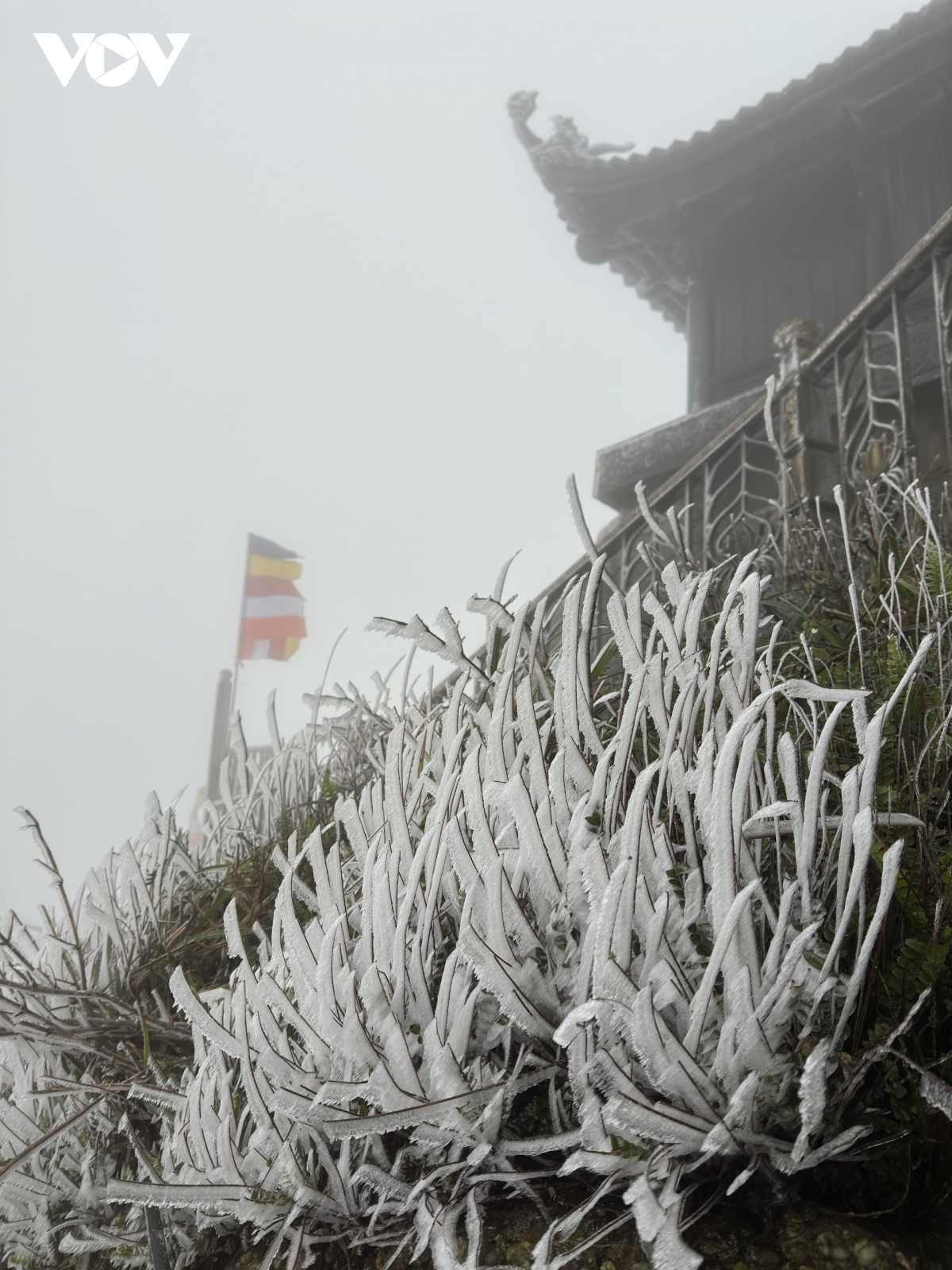 Chùm ảnh] Băng tuyết ở Mẫu Sơn, Lạng Sơn