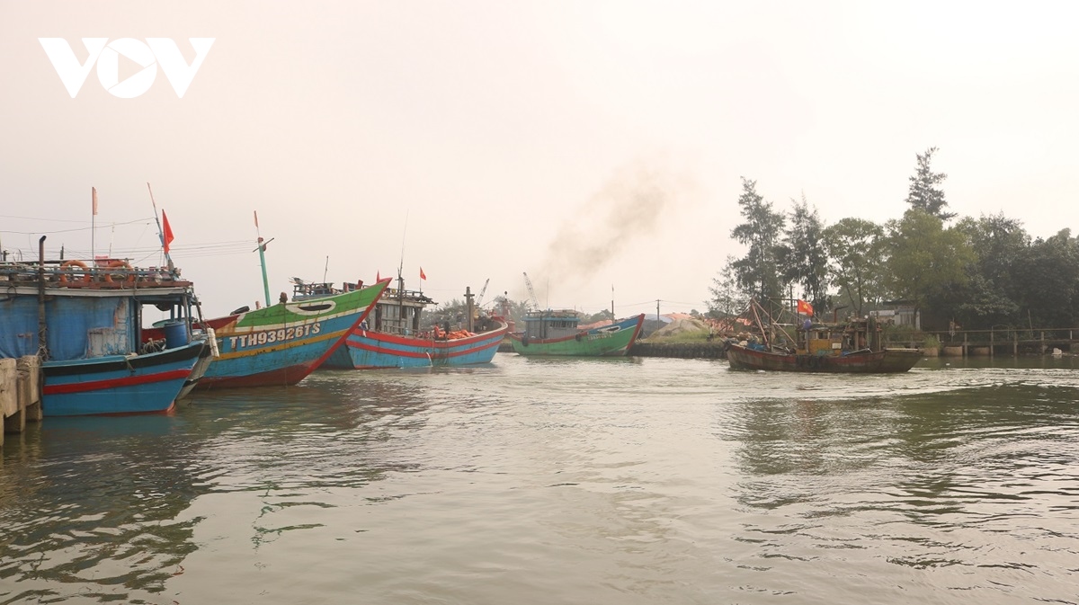 ngu dan thua thien hue hoi ha vuon khoi kiem tet hinh anh 11