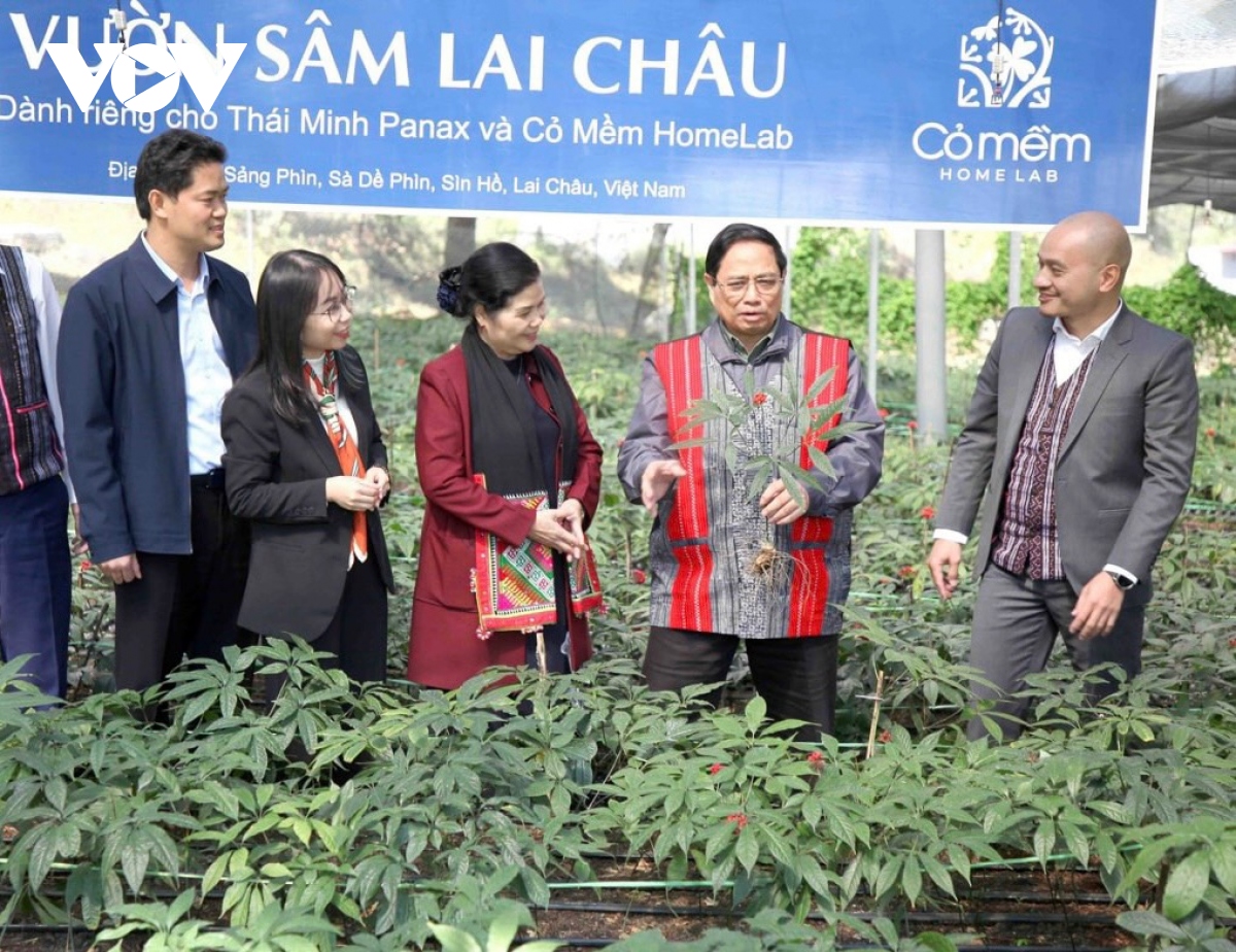 lai châu - khát vọng 20 năm xây dựng, phát triển hình ảnh 19 lai chau - khat vong 20 nam xay dung, phat trien hinh anh 19