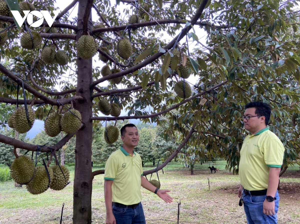 Cần làm gì để Sở Giao dịch hàng hóa đạt hiệu quả như kỳ vọng?