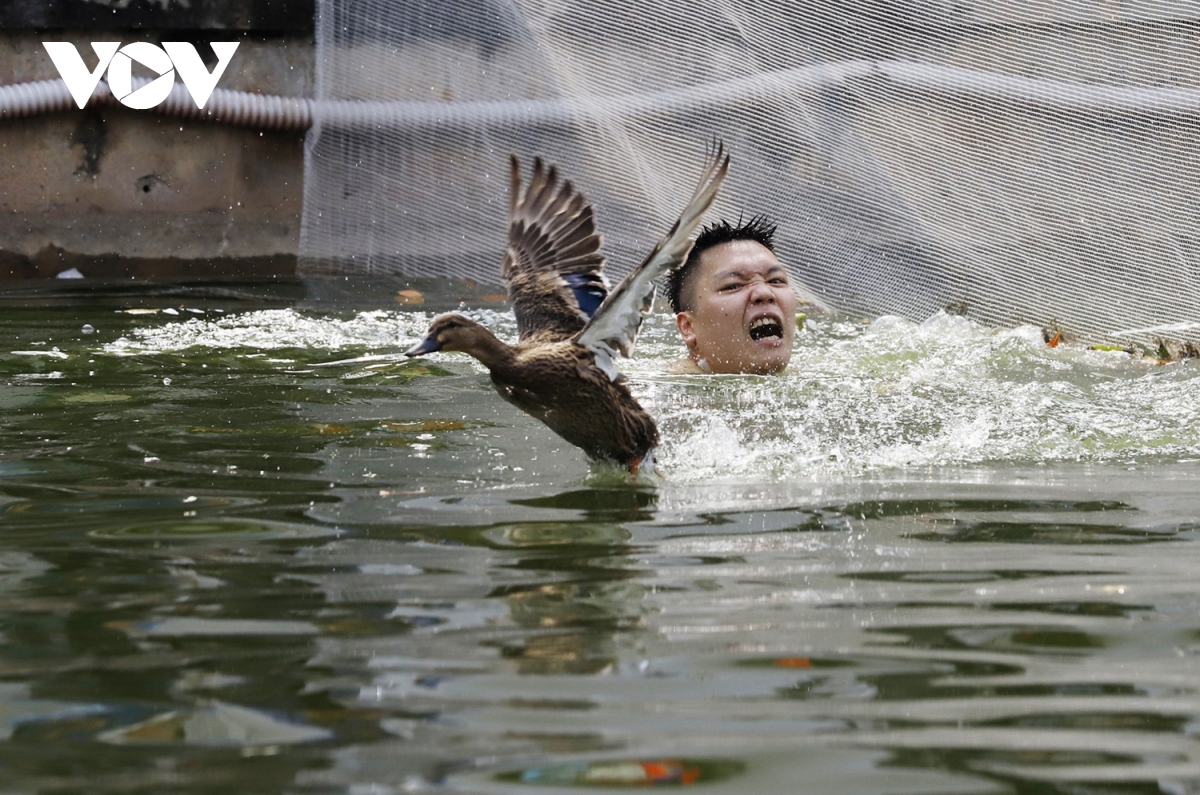 trai lang dam minh duoi ao nuoc lanh tranh nhau bat vit hinh anh 11