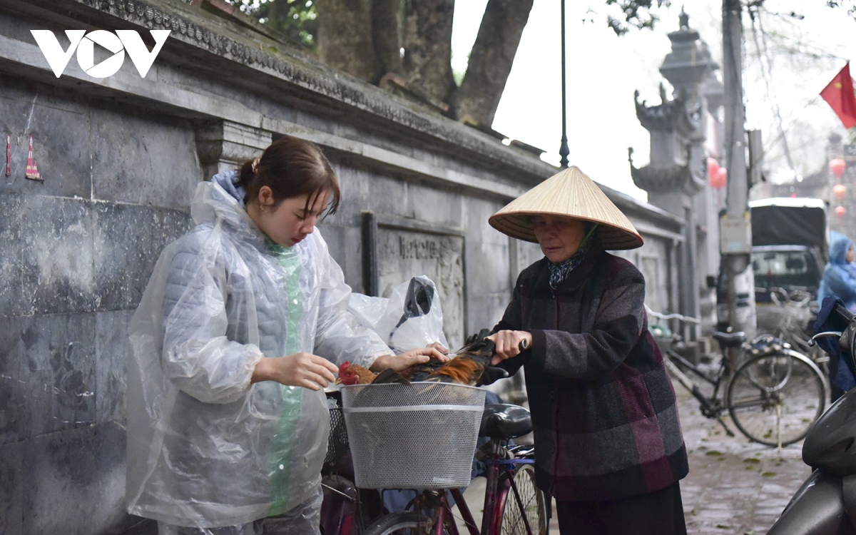 ron rang cho que nhung ngay giap tet hinh anh 20