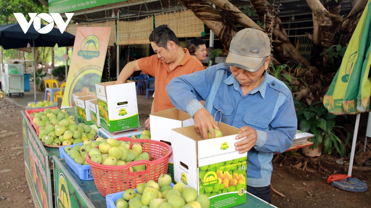 chia khoa de son la dua nong san vuon xa hinh anh 2