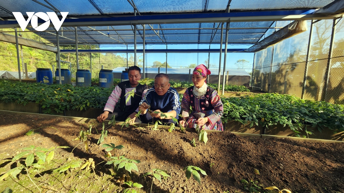 chia khoa de son la dua nong san vuon xa hinh anh 3