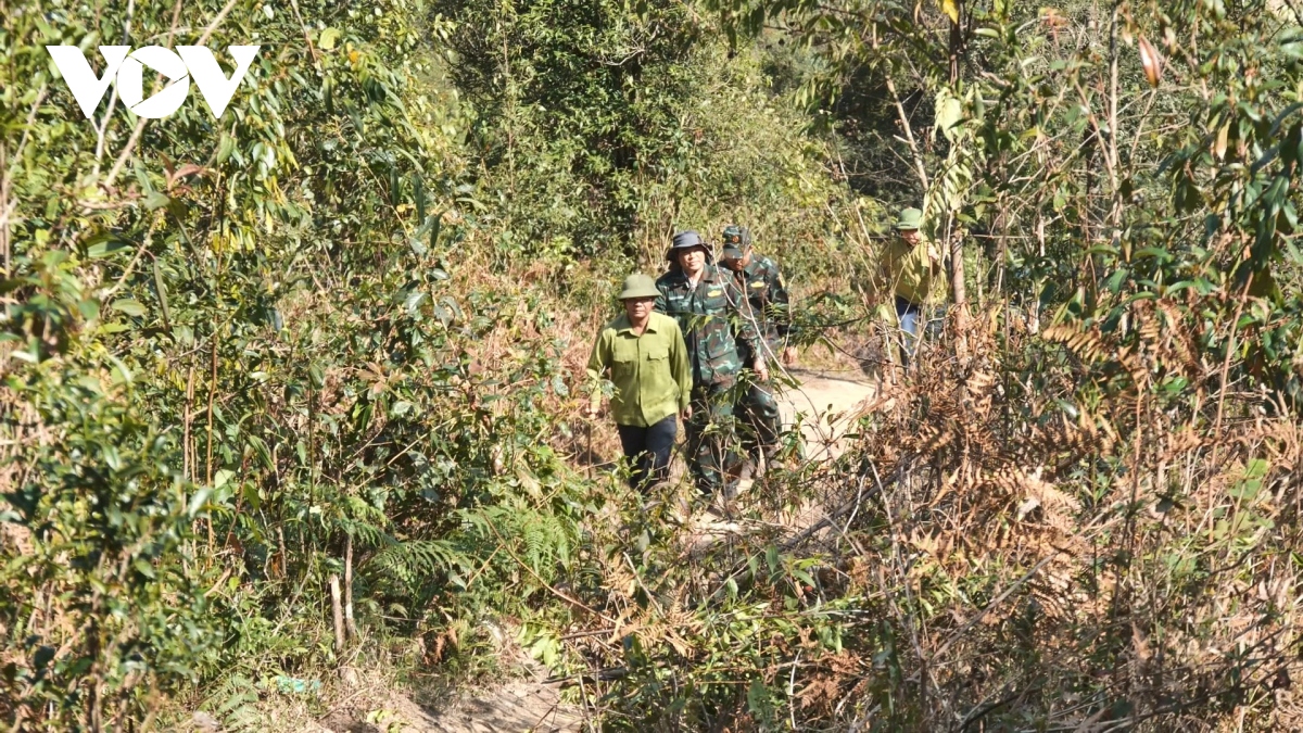 lanh dao tinh lao cai kiem tra, dong vien luc luong chua chay rung hoang lien hinh anh 2