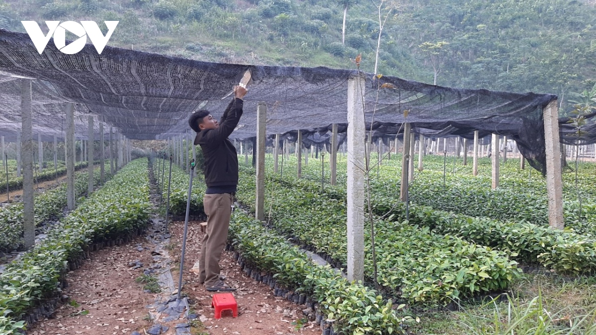 bac kan, cao bang chu dong ung pho voi ret dam tang cuong hinh anh 1