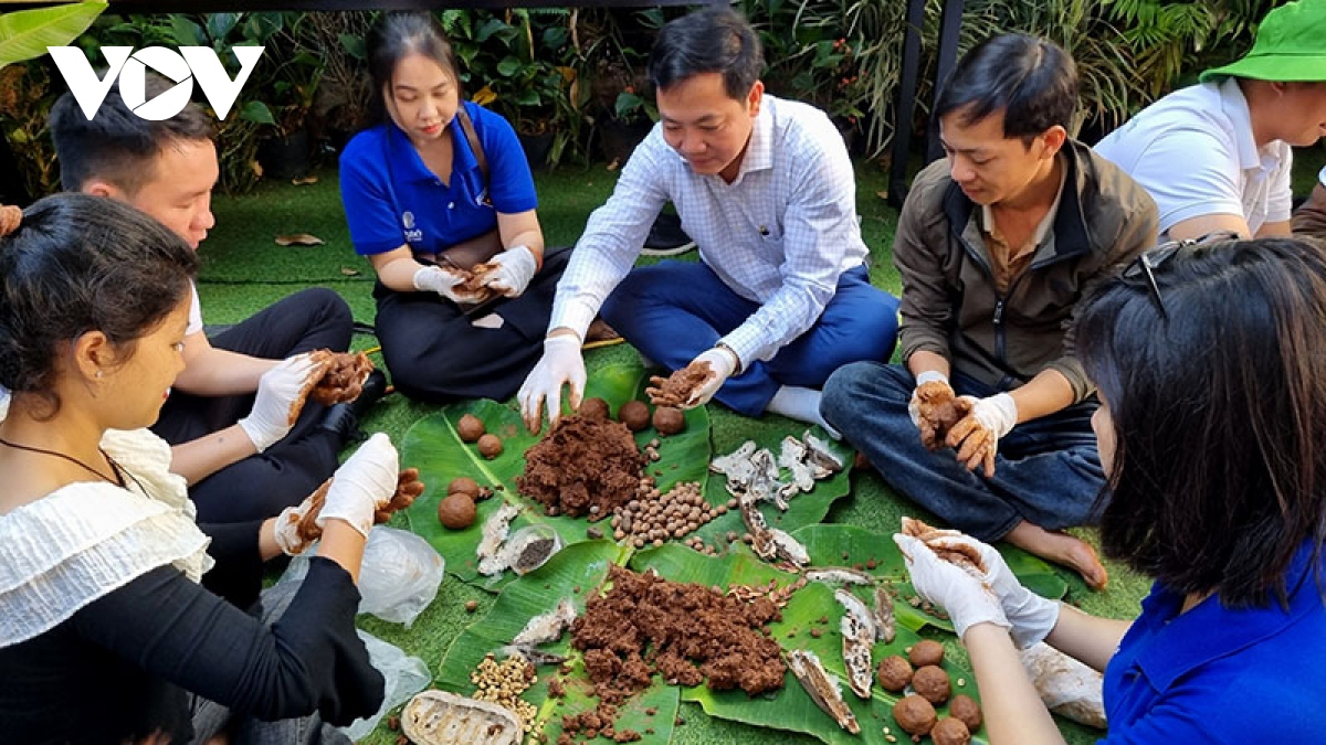 Lập trạm đổi pin cũ lấy sách và sen đá tại Buôn Ma Thuột