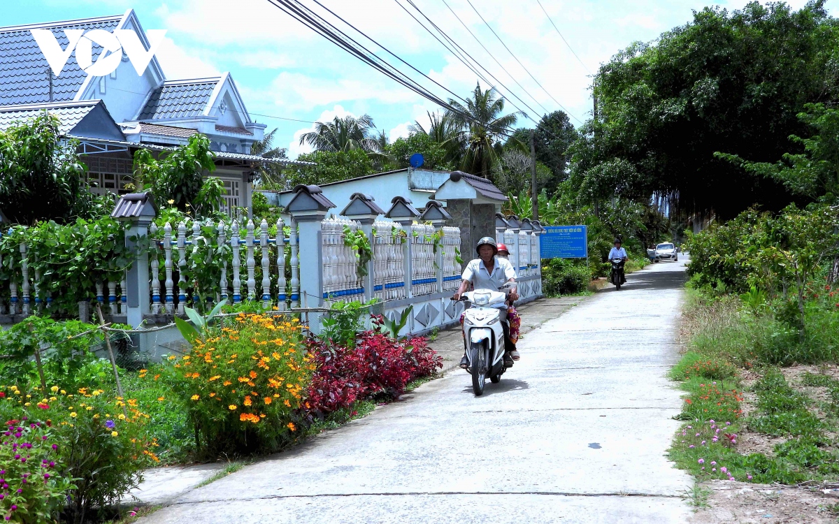 dung di tet rung ca mau hinh anh 3