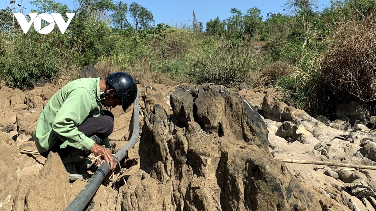 suoi can, nong dan Dak nong an ngu khong yen vi lo han han hinh anh 1