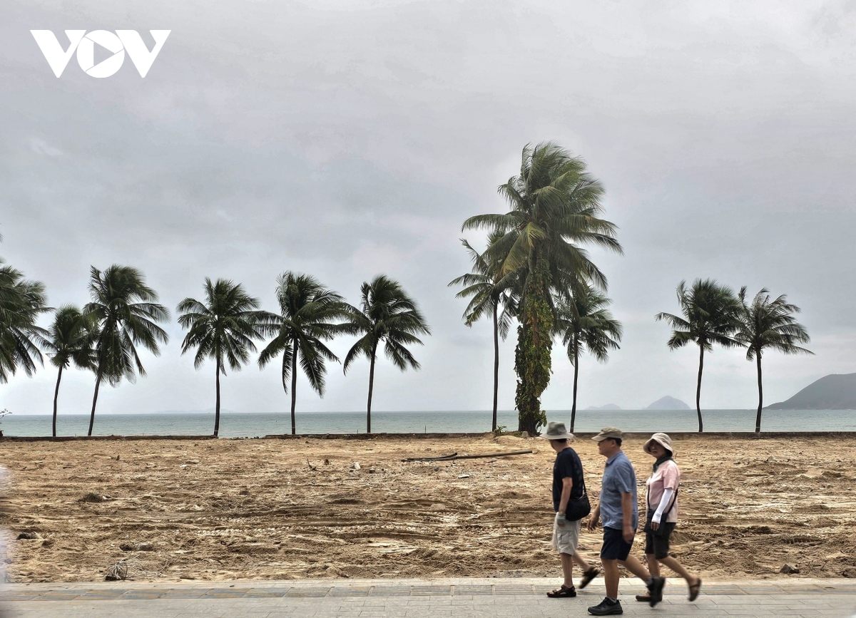 thu hoi hon 20.000 m2 dat cua khu nghi duong chan bien nha trang hinh anh 2