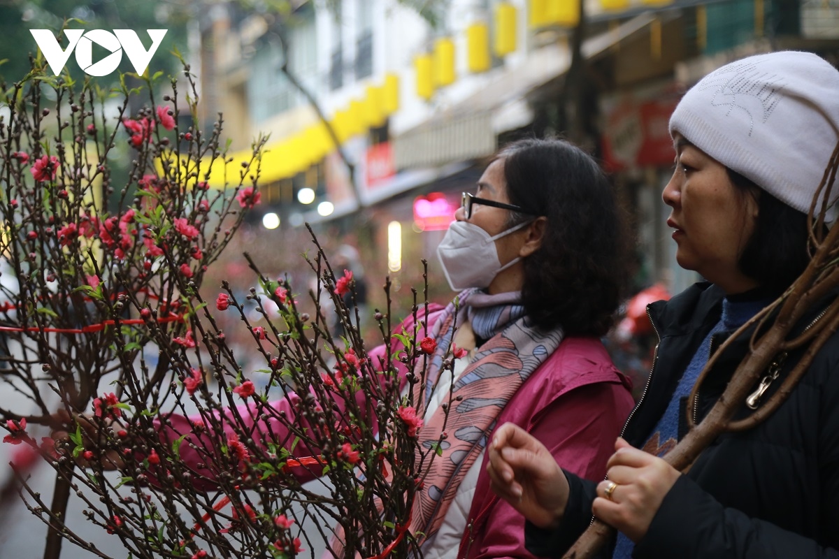 cho hoa tet hang luoc, net dep cua phien cho lau doi nhat ha noi hinh anh 1