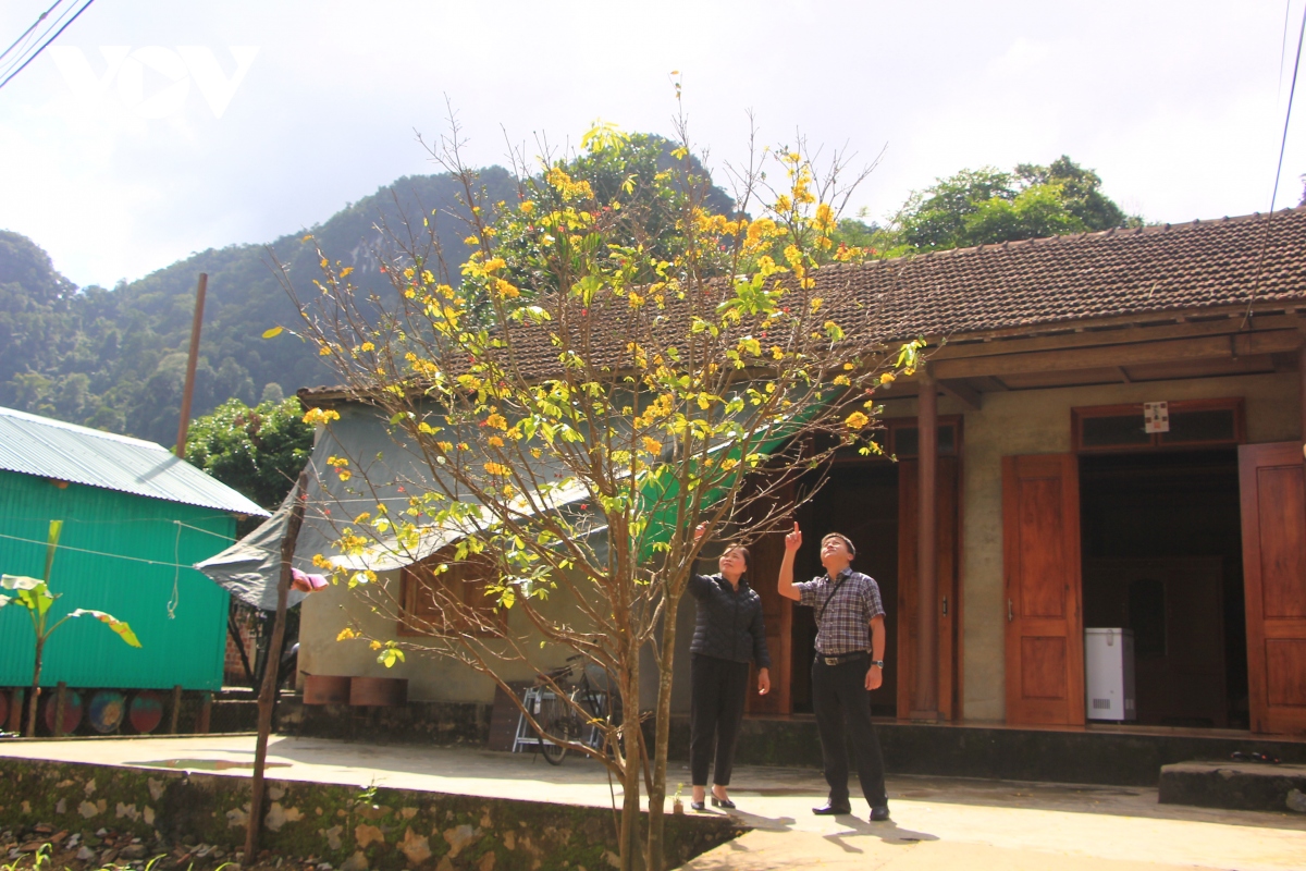 Tết đến Làng du lịch Tân Hóa thưởng thức cơm Pồi, cá thính chua