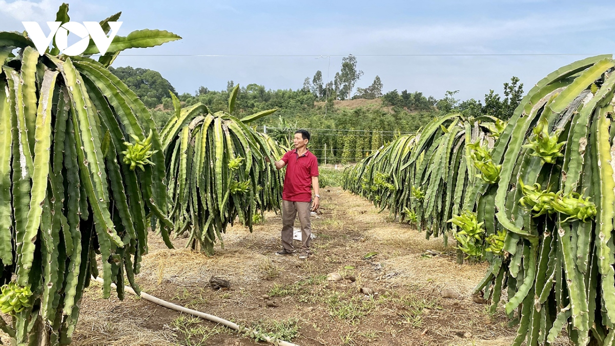 Ngành nông nghiệp tiếp tục cắt giảm giấy phép kinh doanh