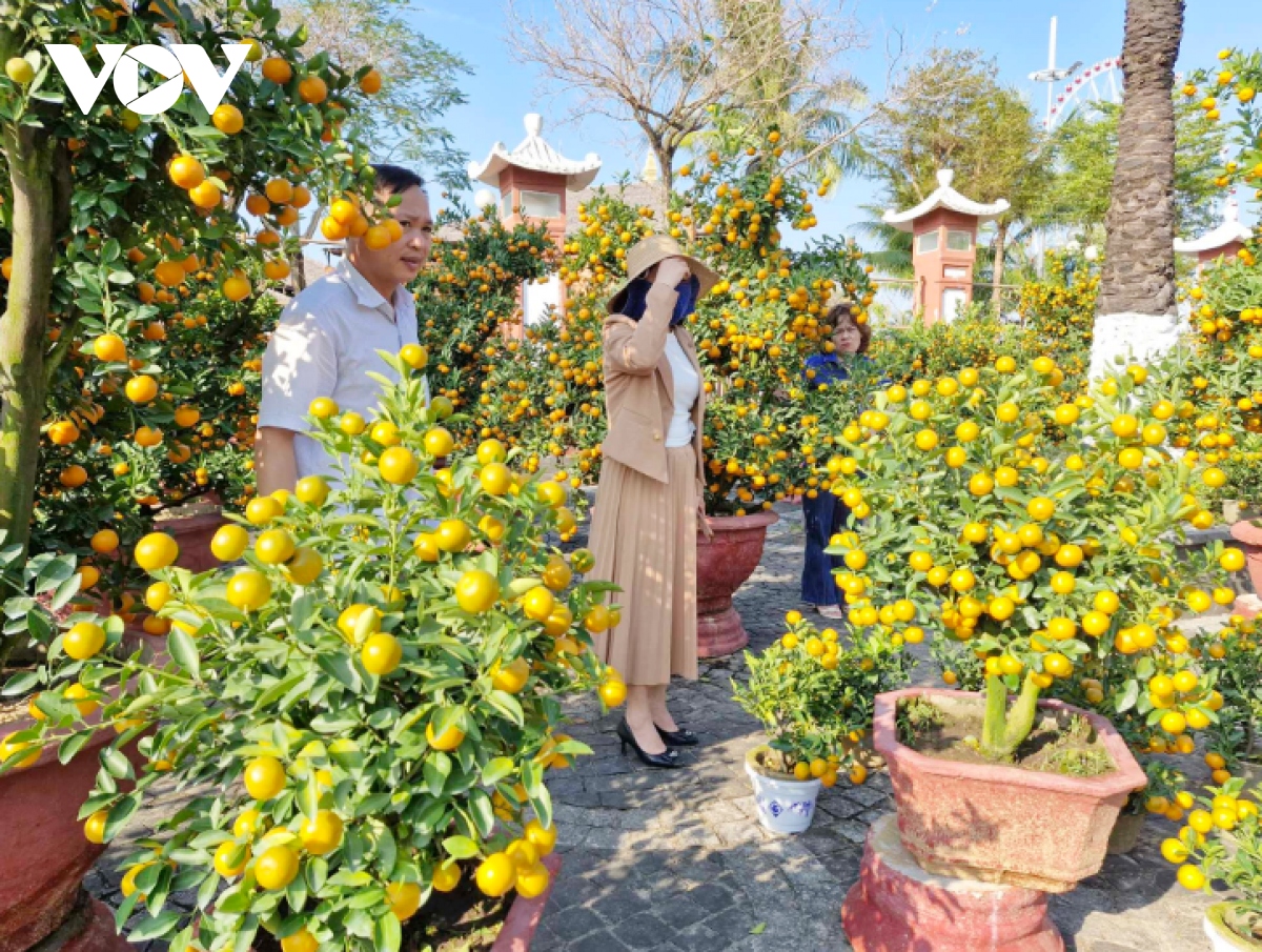 cho hoa tet Da nang tram lang, nguoi ban sot ruot dung ngoi khong yen hinh anh 5