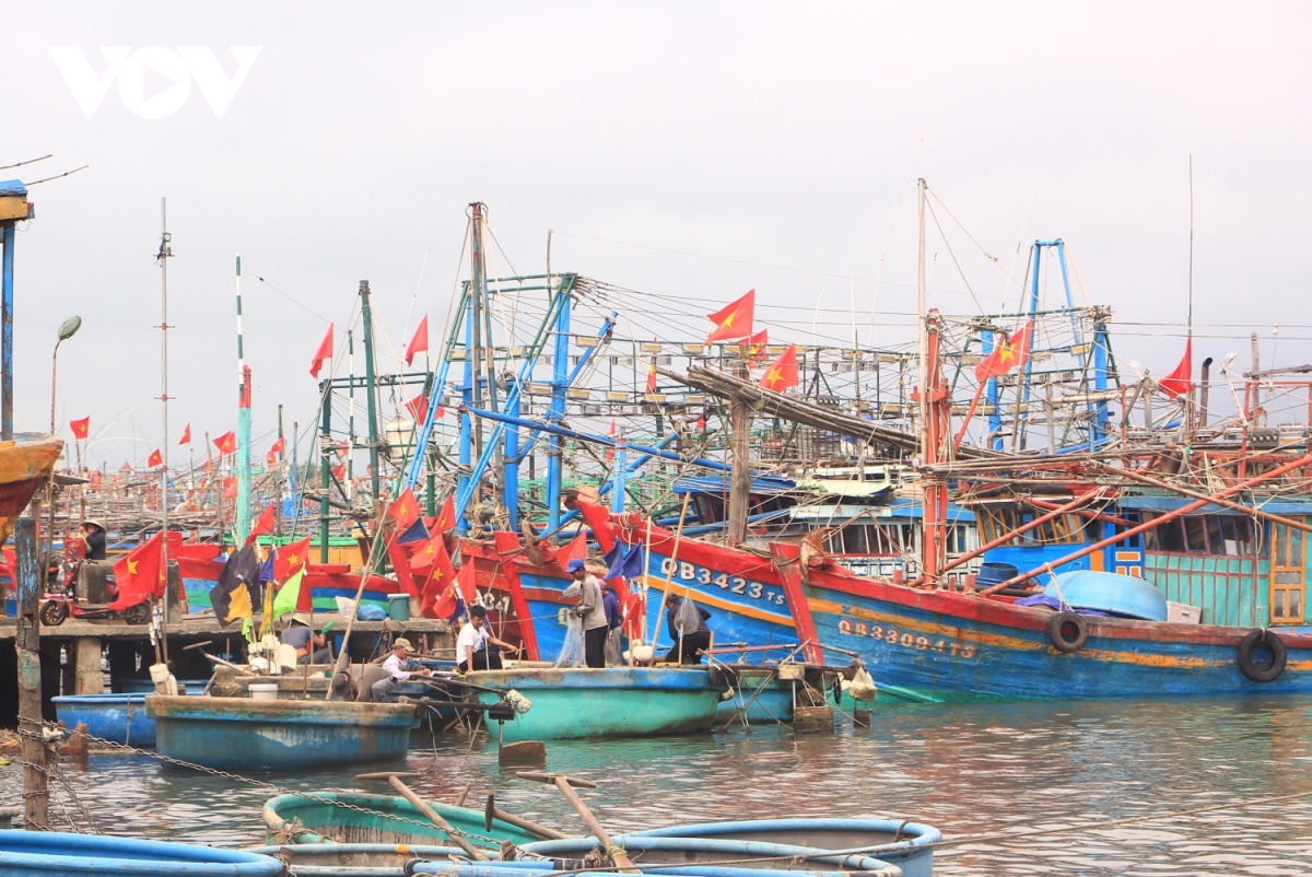 ngu dan quang binh dong loat ra khoi mo bien sau le cau ngu hinh anh 5