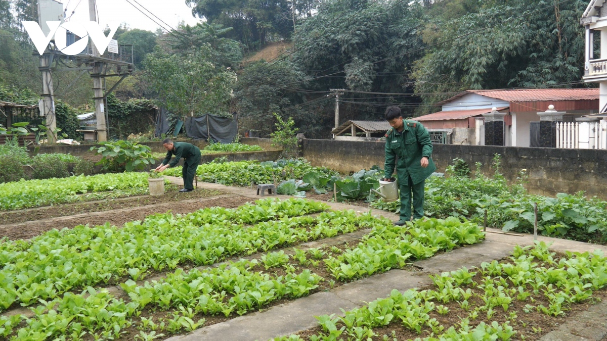 xuan am noi bien cuong lao cai hinh anh 2