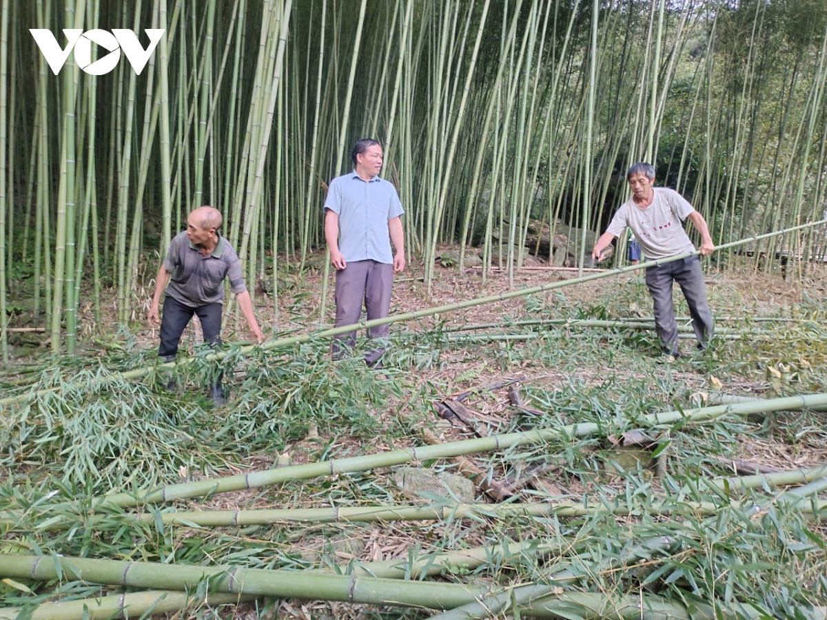 极品天尊游戏满v版下载