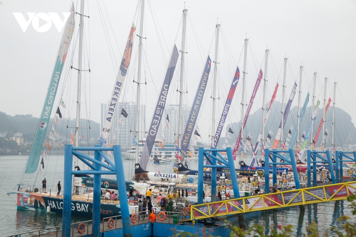 can canh 11 chiec thuyen buom clipper race tai ha long hinh anh 8