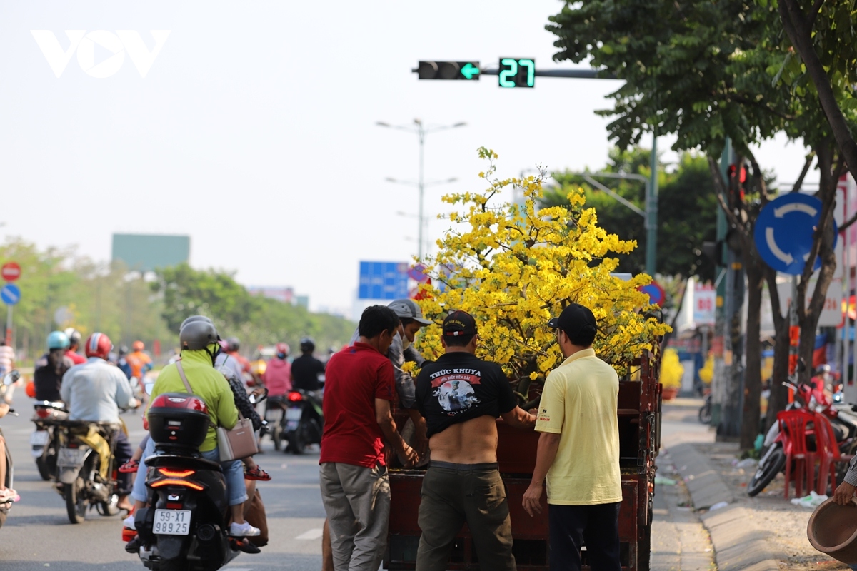 ngay cuoi cung nam quy mao, duong sa tp.hcm thong thoang hinh anh 5