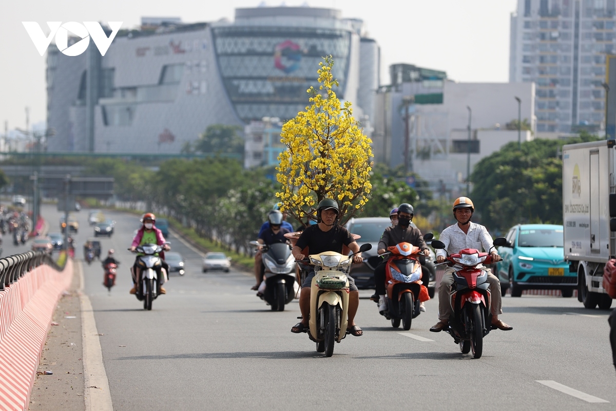 ngay cuoi cung nam quy mao, duong sa tp.hcm thong thoang hinh anh 4