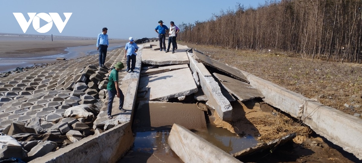 trieu cuong dang cao gay thiet hai nang tai ben tre, mot tre em mat tich hinh anh 1