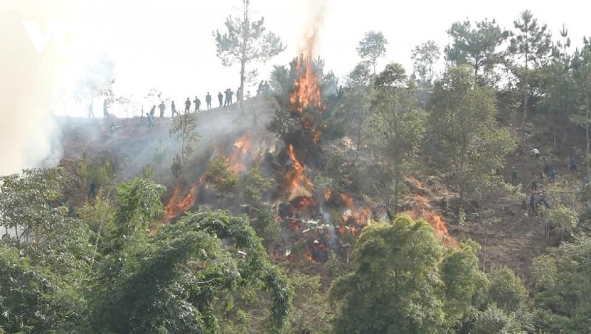 thoi tiet kho hanh, yen bai tang cuong phong chong chay rung hinh anh 4