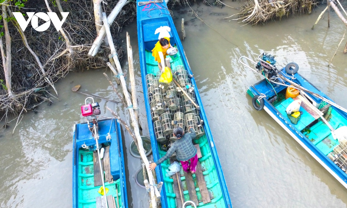 nghe dat lop bat cua da cua dan mien bien ca mau hinh anh 13