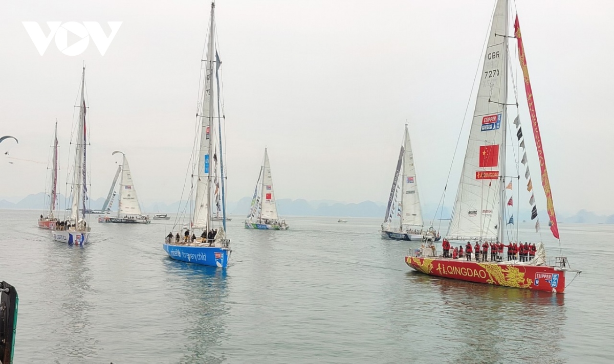 cuoc thi thuyen buom the gioi clipper race tiep tuc chang dua moi tu ha long hinh anh 12