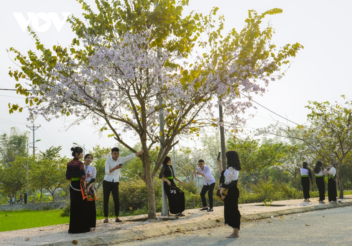 ve mien ban khoe sac don chao du khach den voi le hoi hoa ban hinh anh 1