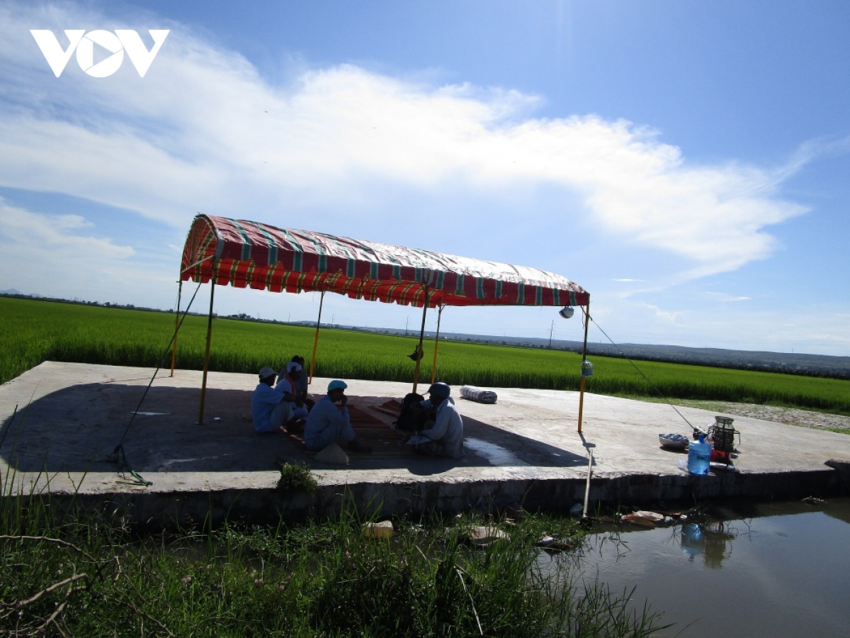 kho khan, vuong mac khi thuc hien 2 nha hoa tang o binh thuan hinh anh 3