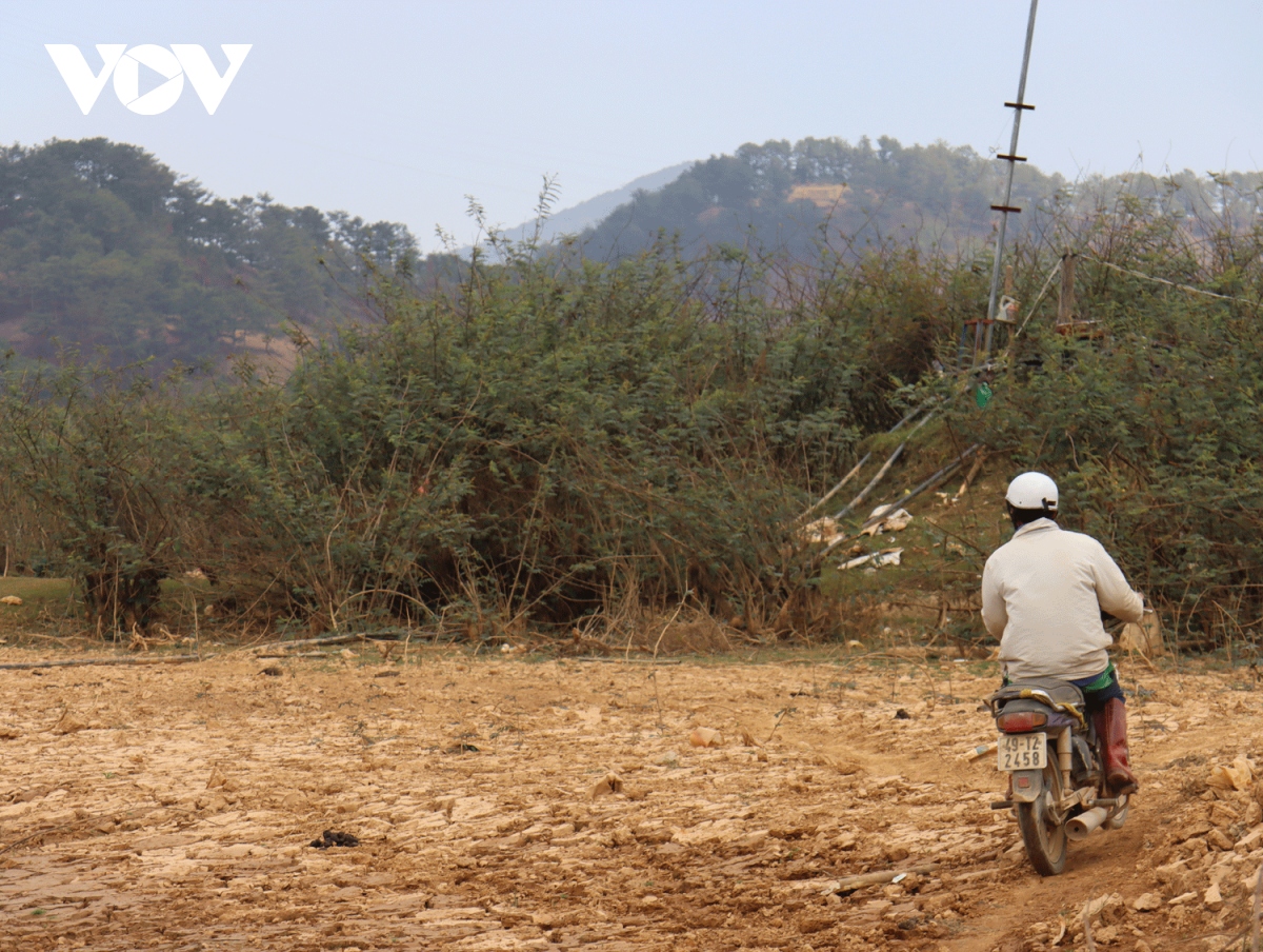 ho Dan kia - suoi vang cung cap nuoc sinh hoat cho Da lat dang tro day hinh anh 7