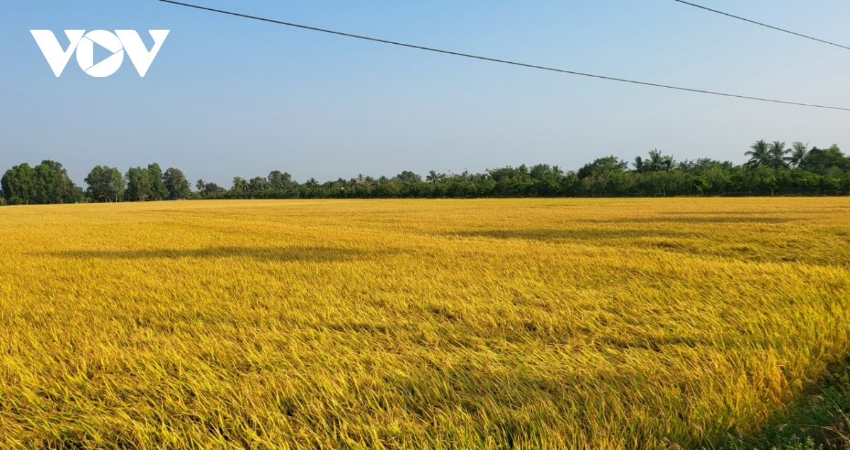 hau giang chu dong ung pho voi han, man xam nhap trong mua kho nay hinh anh 2