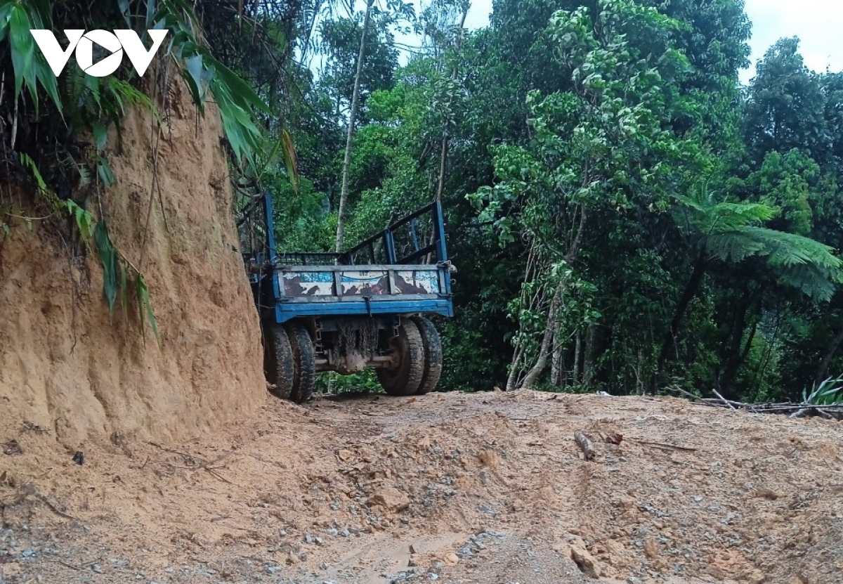 quang nam khoi to vu an pha rung thuc hien du an duong day 110kv hinh anh 5