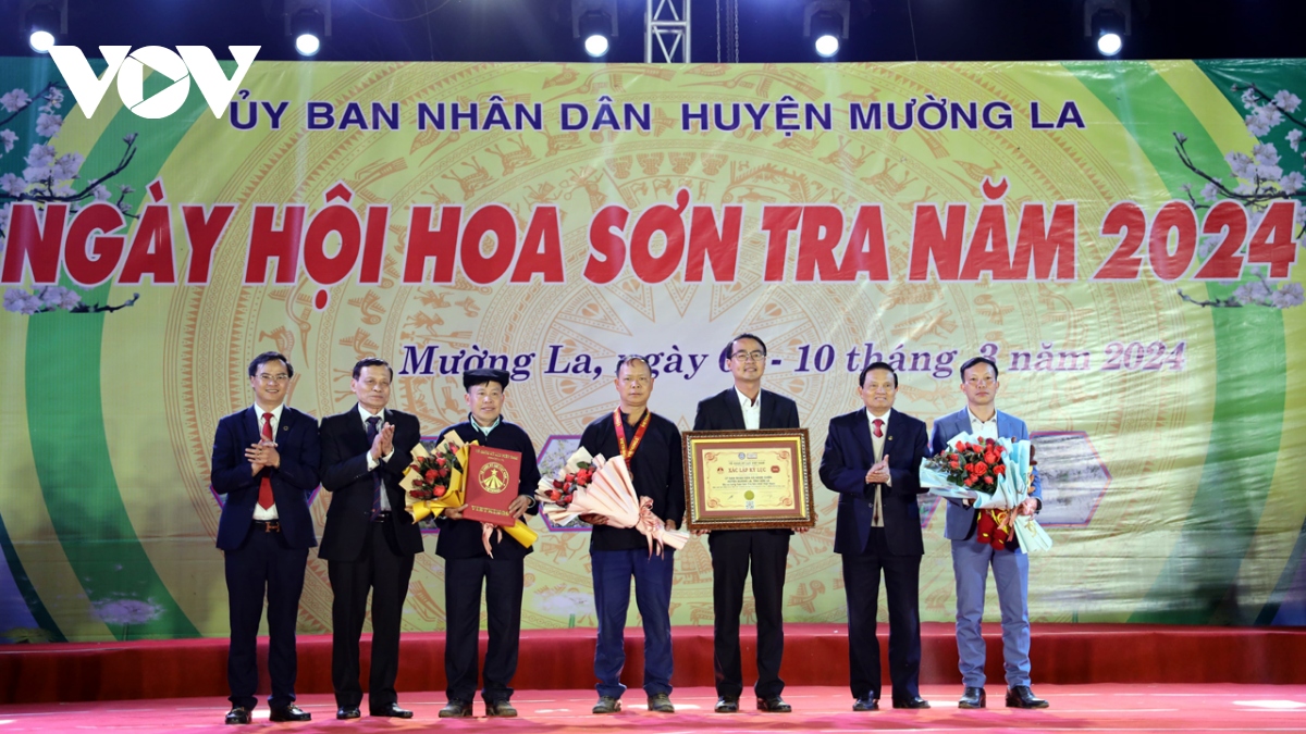 xac lap ky luc xa ngoc chien co rung hoa son tra lon nhat viet nam hinh anh 1