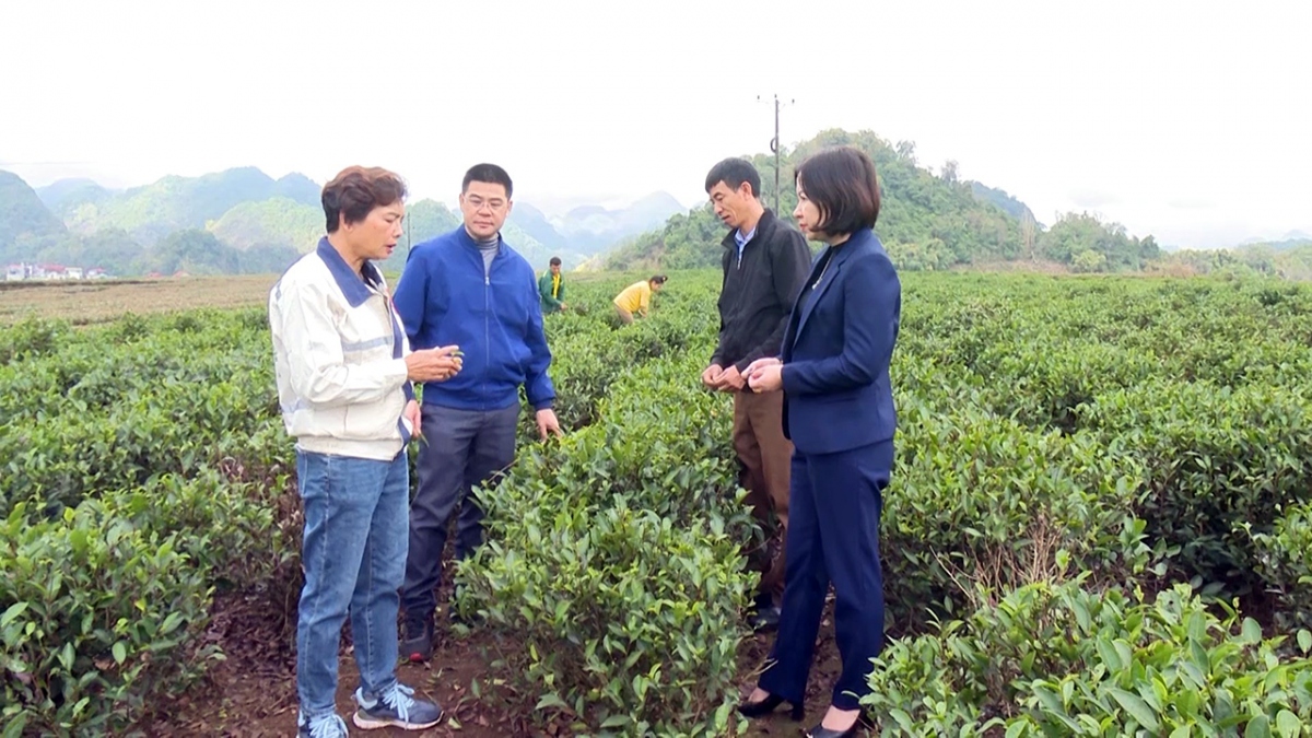 nguoi phu nu miet mai xay dung thuong hieu che phong lai hinh anh 2