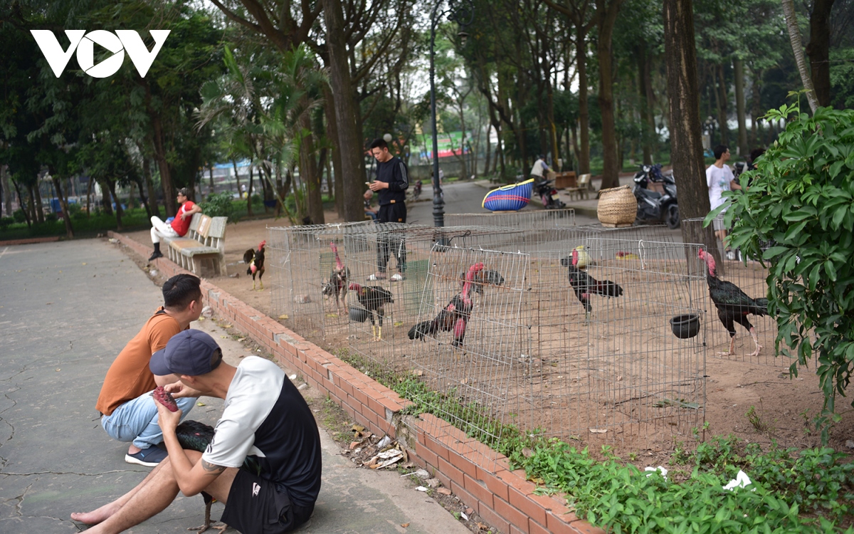 cong vien tuoi tre van hoang tan, nhech nhac sau nua nam thao do cong trinh vi pham hinh anh 17