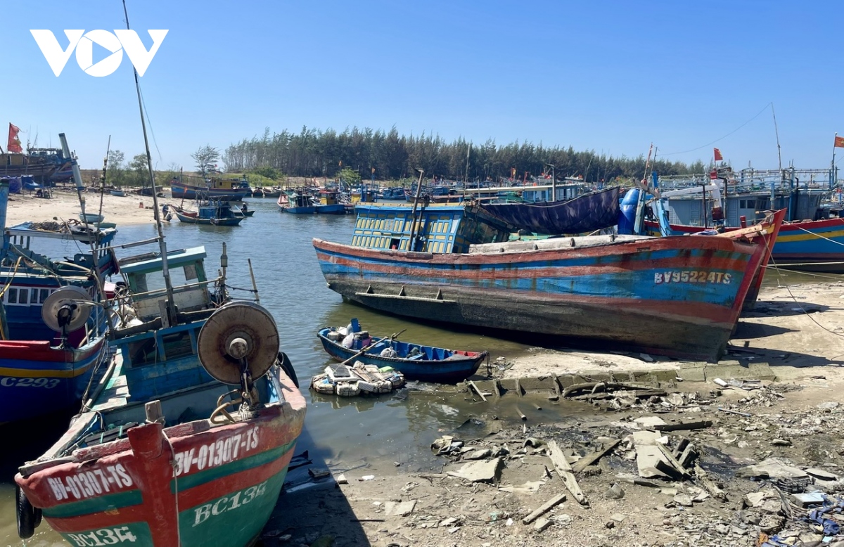 ngu dan o ba ria - vung tau bi chan duong muu sinh vi cua bien hep hinh anh 2