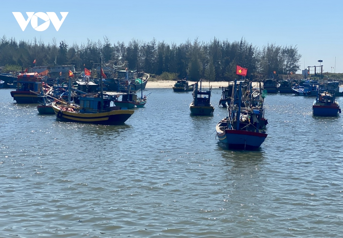 ngu dan o ba ria - vung tau bi chan duong muu sinh vi cua bien hep hinh anh 4