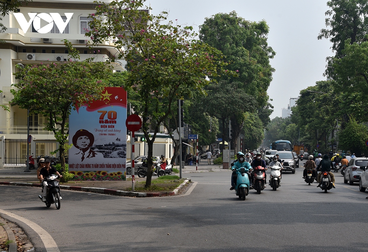 Duong pho thu do ha noi co hoa ruc ro chao mung dai le hinh anh 15