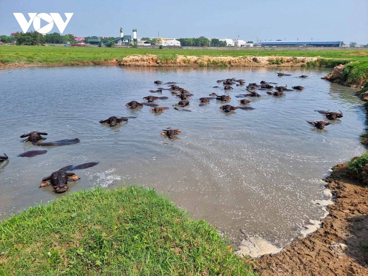 hang loat du an cham tien do lam kho nguoi dan o bac ninh hinh anh 6