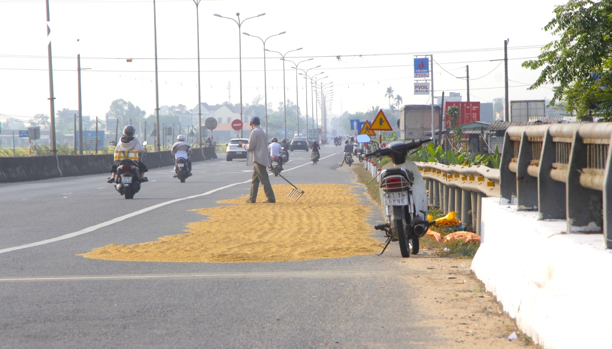 phoi lua tren quoc lo 1a, nguy co mat an toan giao thong hinh anh 2