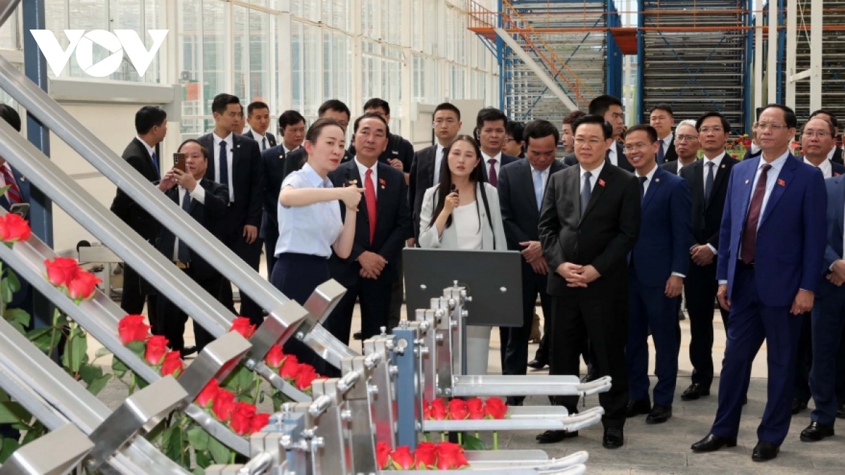 na leader s visit to typical economic models in yunnan concludes china trip picture 1