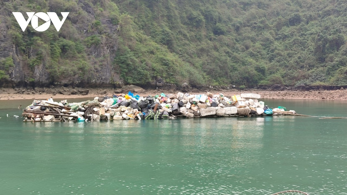 quang ninh tang cuong thu gom rac thai tren vinh ha long hinh anh 2