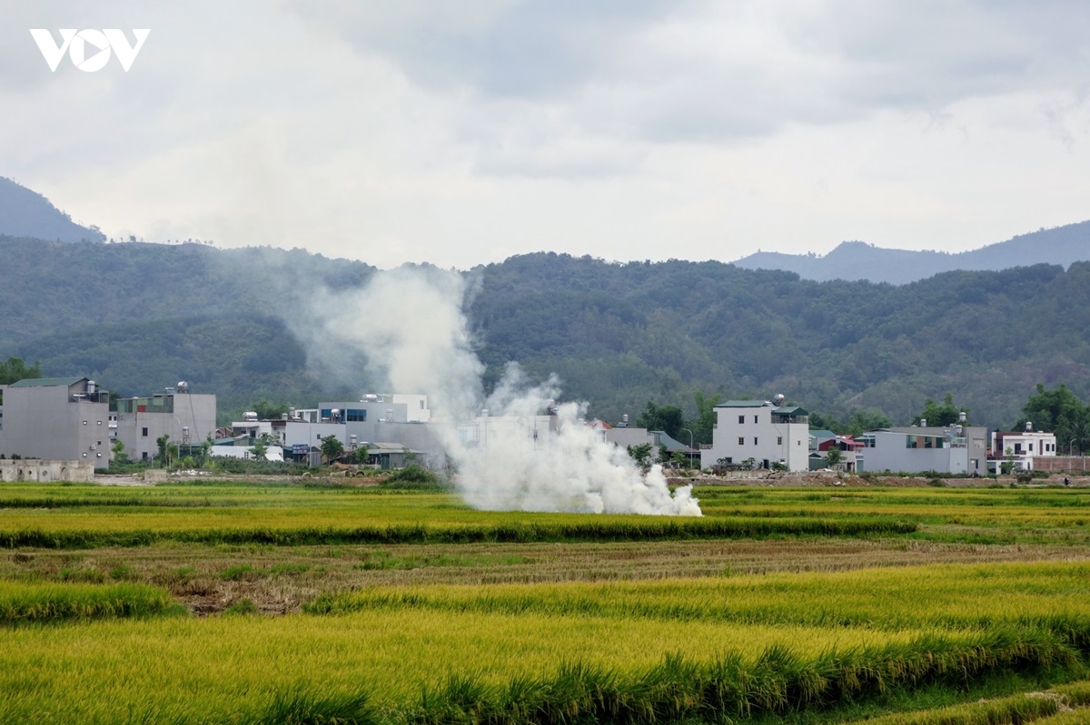 nong dan muong thanh phan khoi thu hat ngoc vang hinh anh 12