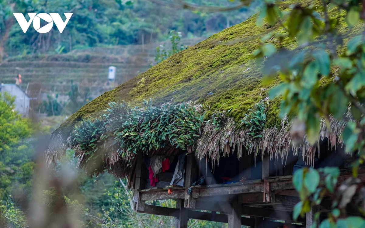 “Lạc lối” ở bản làng “phủ rêu xanh” trên dãy Tây Côn Lĩnh (Hà Giang)