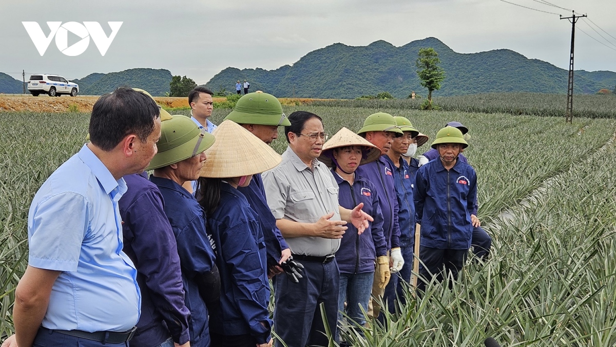 thu tuong pham minh chinh tham, lam viec tai ninh binh hinh anh 1