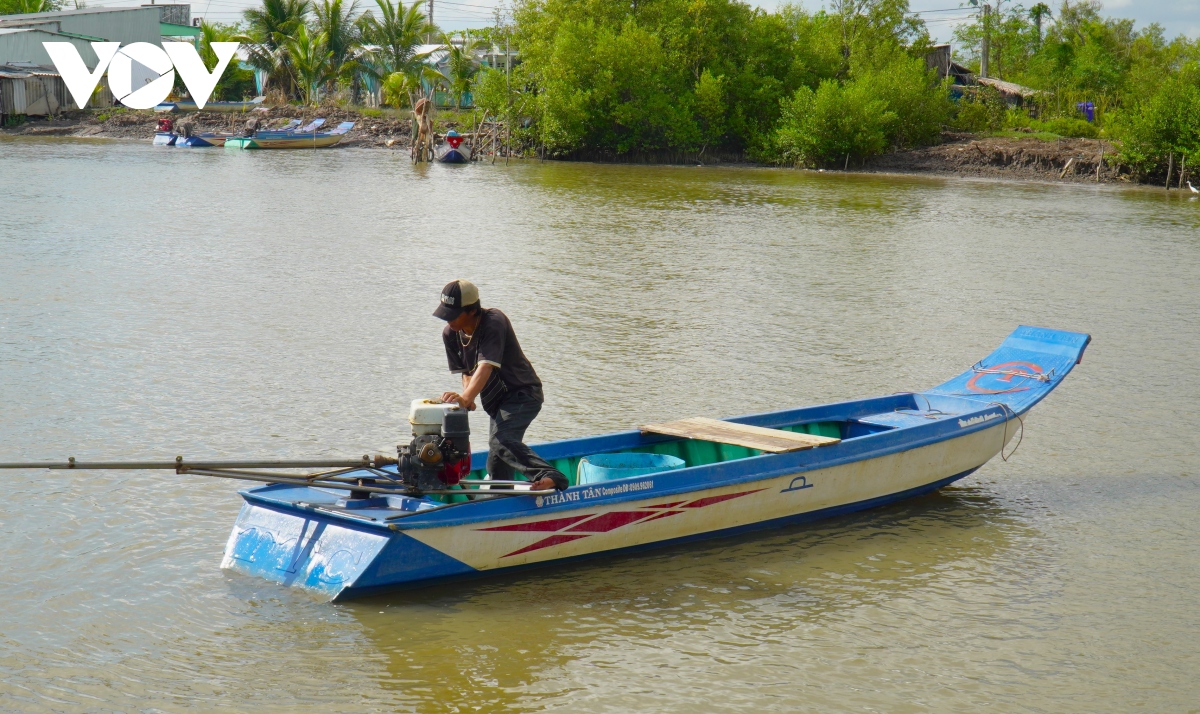 giang cau khong can moi, bat du thu tom ca o ca mau hinh anh 4