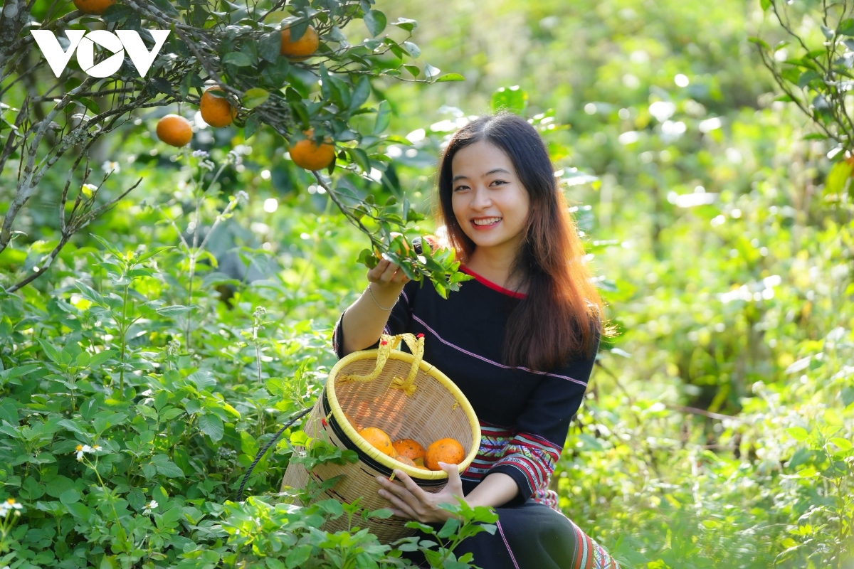 tinh khoi nong nghiep-nong san mang Den hinh anh 7