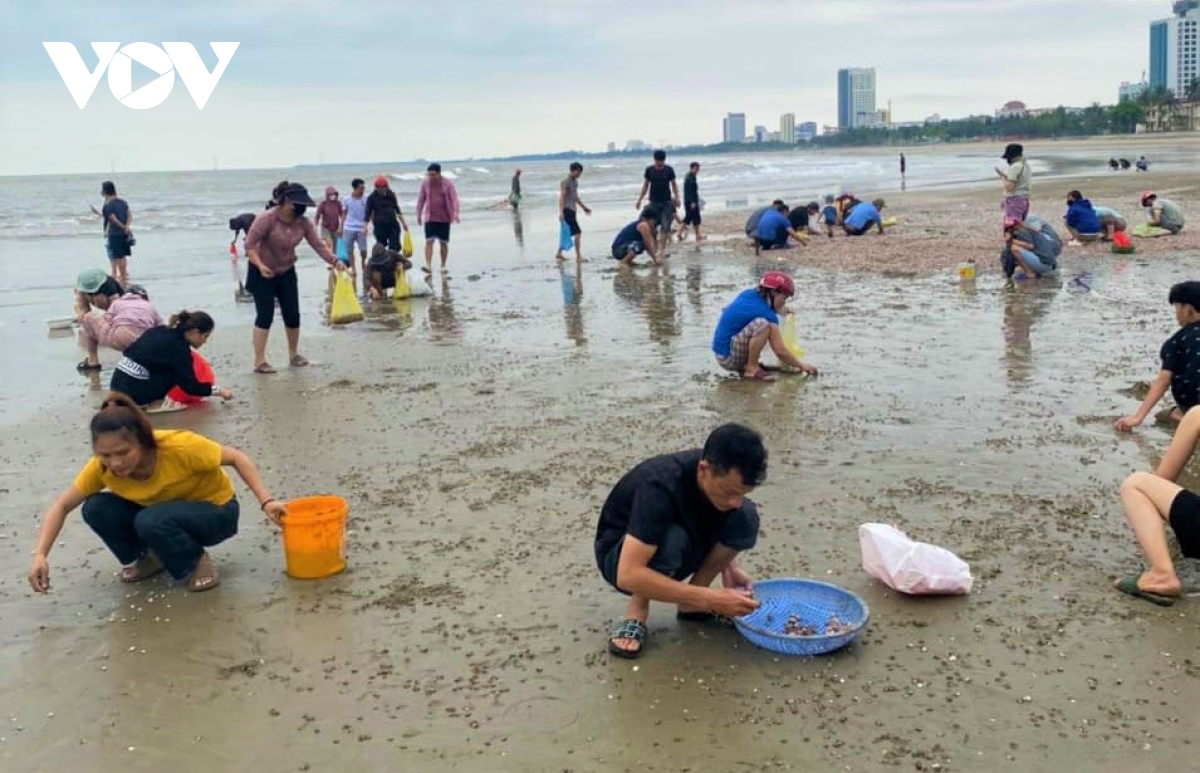 so huyet bat ngo dat vao trang bo bien cua lo, nghe an hinh anh 2